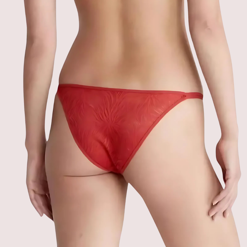 Exclusive French Daina Lace Tanga Panties Luxury Gift Box
